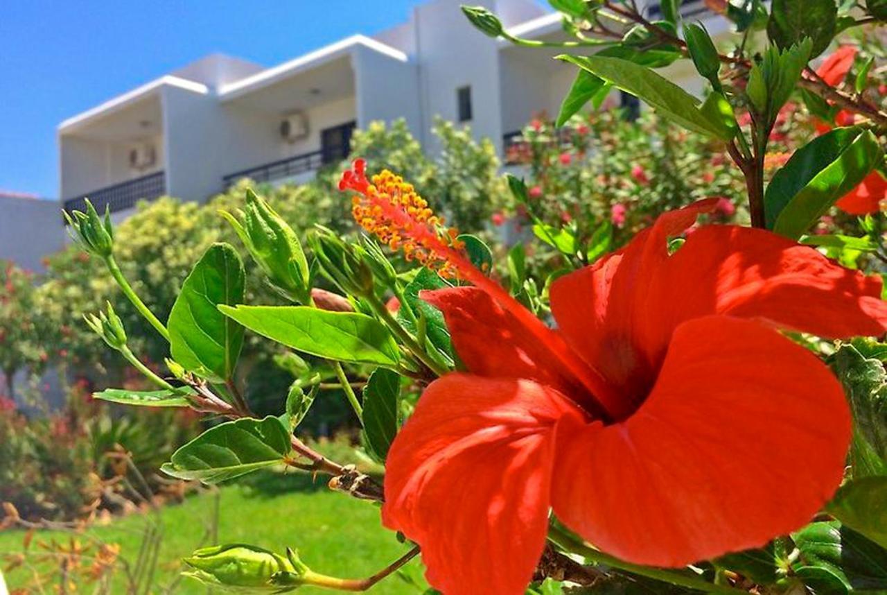 Debbi Appartments And Hotel Ialysos (Rhodes) Exterior photo